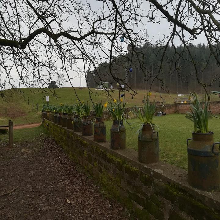 Bio-Gasthof Bärenbrunnerhof